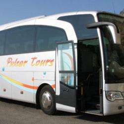 Pulsar Tours - Vigna Guy Transport
