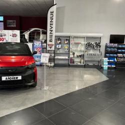 Autodistribution