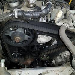 Autodistribution