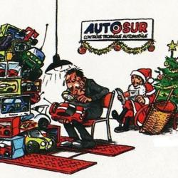 Autosur
