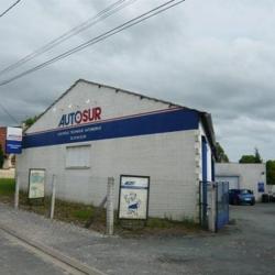 Autosur