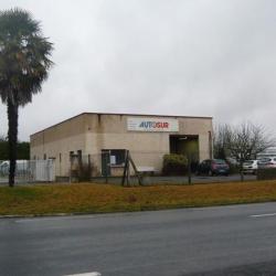 Autosur
