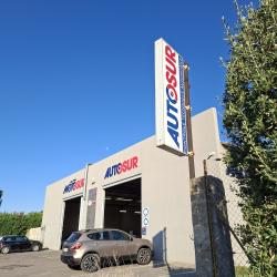 Autosur