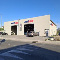 Autosur