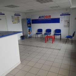 Autosur