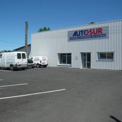Autosur
