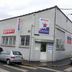 Autosur
