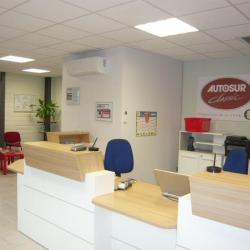 Autosur