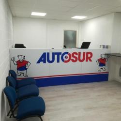 Autosur