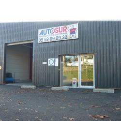 Autosur