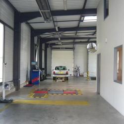 Autosur