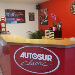 Autosur
