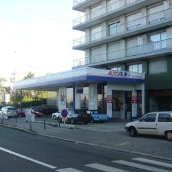 Autosur
