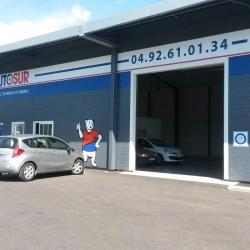 Autosur