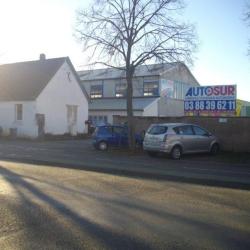 Autosur