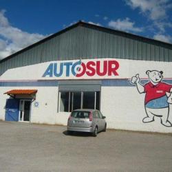 Autosur