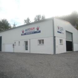 Autosur