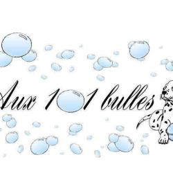 Aux 101 Bulles