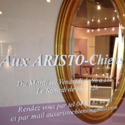 Aux Aristo-chiens
