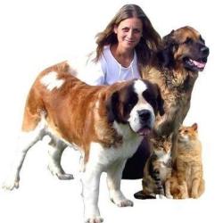 Aux Calins Canins