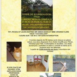 Aux Chats Dormants