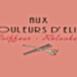 Aux Couleurs D'elise