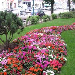 Aux Couleurs Des Jardins