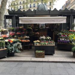 Aux Fleurs D'henriette