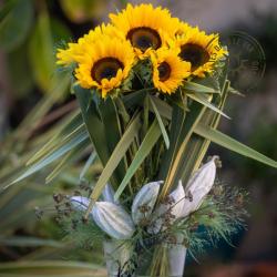 Aux Fleurs De France