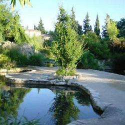 Jardin Aquatique "aux Fleurs De L'eau"