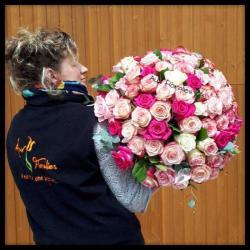 Aux Floralies