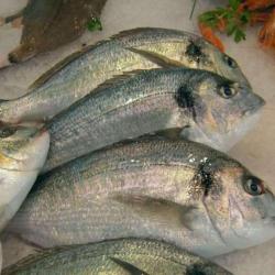 Aux Fruits De La Mer