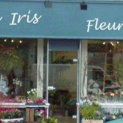 Aux Iris