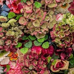 Aux Mille Roses