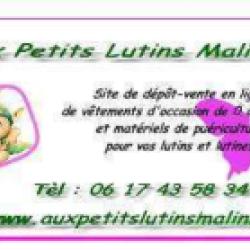 Aux Petits Lutins Malins