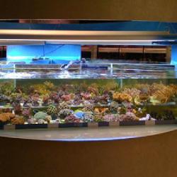 Aux Poissons Exotiques