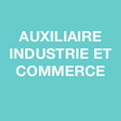 Auxicom