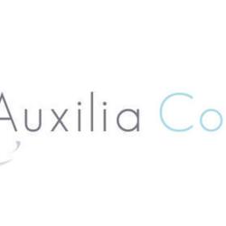 Auxilia Conseils