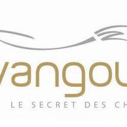 Avangout