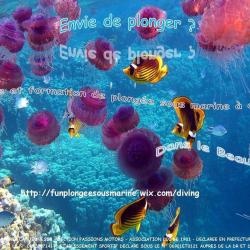 Avenir Cap Jeunesse Fun Plongee