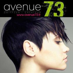 Avenue 73 Montferrand