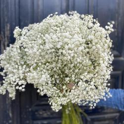 Avenue Des Fleurs - Fleuriste - évènementiels - Mariages - Deuils - Château-gontier