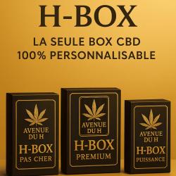 Avenue Du H Cbd Libourne