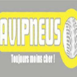 Avipneus