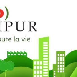 Avipur