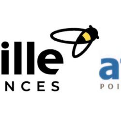 Aviva Assurances