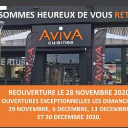 Aviva Cuisines