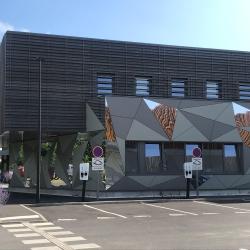 Axa
