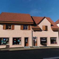 Axa