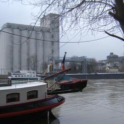 Axéréal